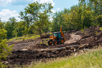 Underbrush Removal